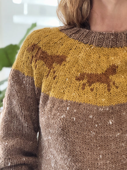 Horse sweater