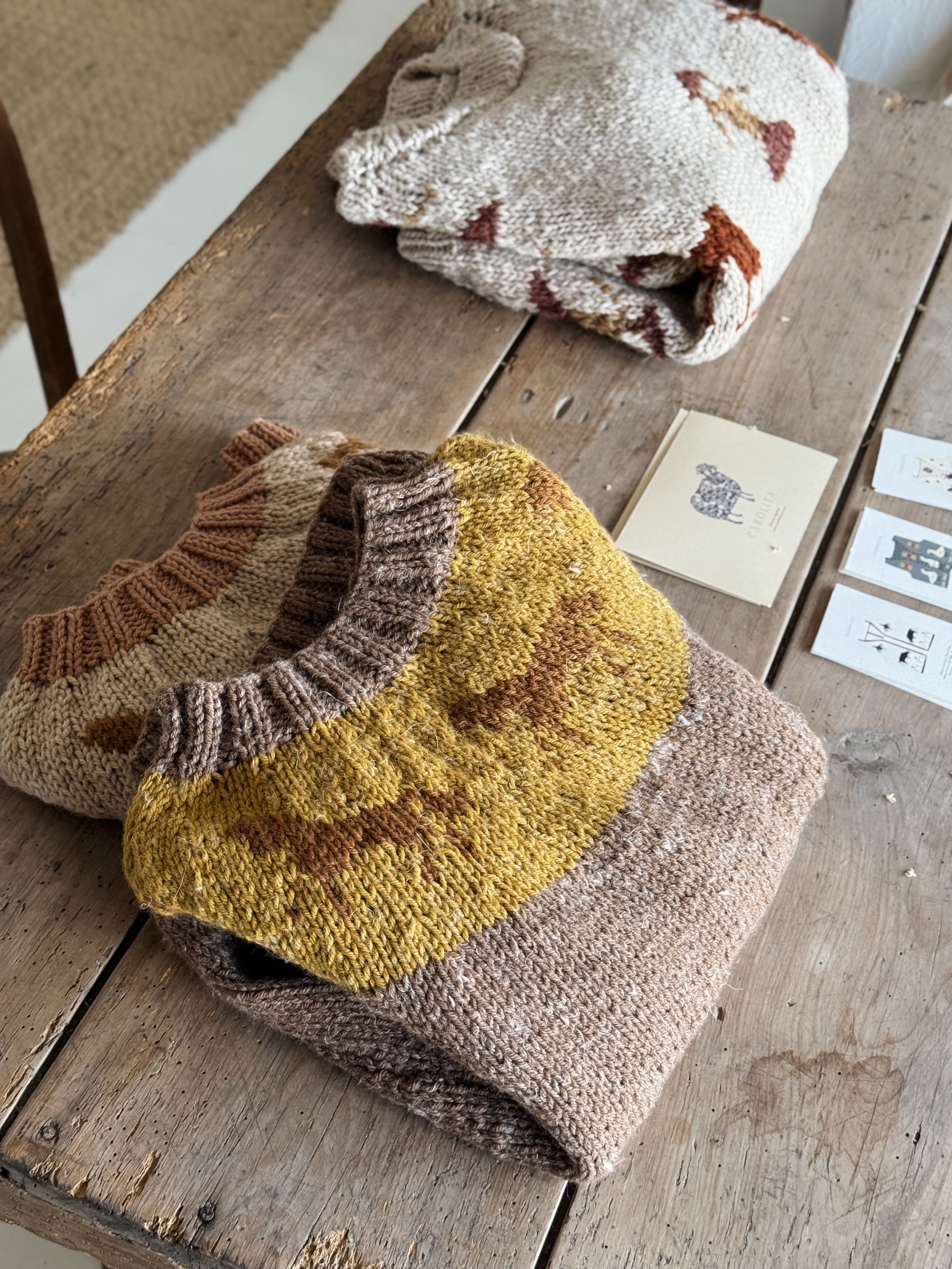 Horse sweater