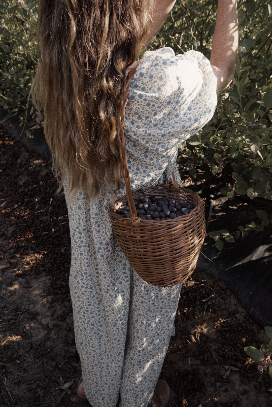 Olivia Dress (Liberty blue)