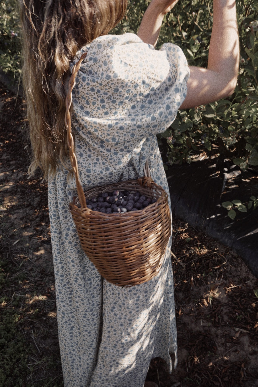 Olivia Dress (Liberty blue)